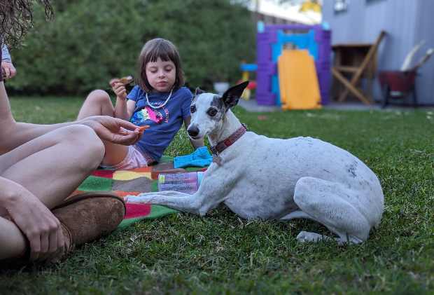 Magic in the backyard with the girls